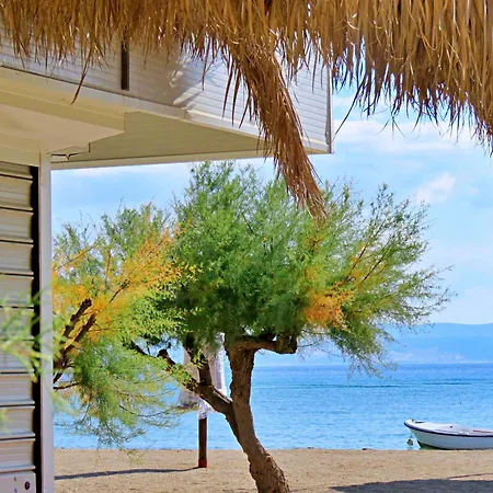 Apartment Three-bedroom Close To The Omis Duce